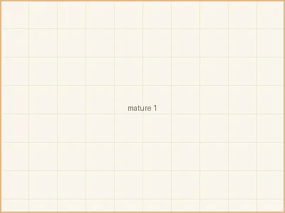 换妻 - 清晨六点的厨房 - 为家人准备元气早餐